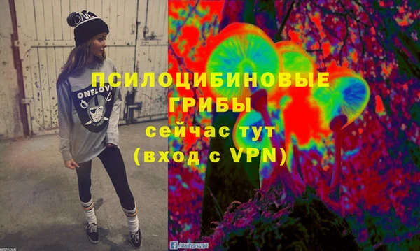 mdpv Инта