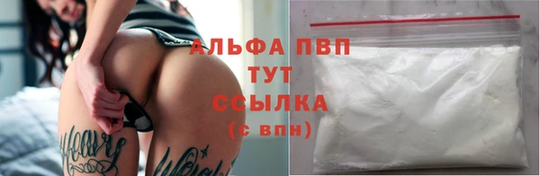 дживик Инсар