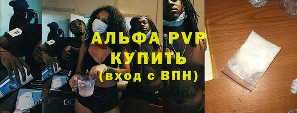 дживик Инсар