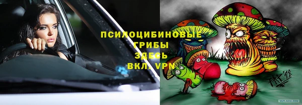 mdpv Инта