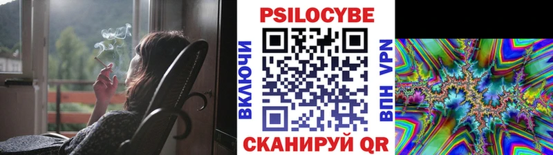 Купить  Куровское  Псилоцибиновые грибы Cubensis 